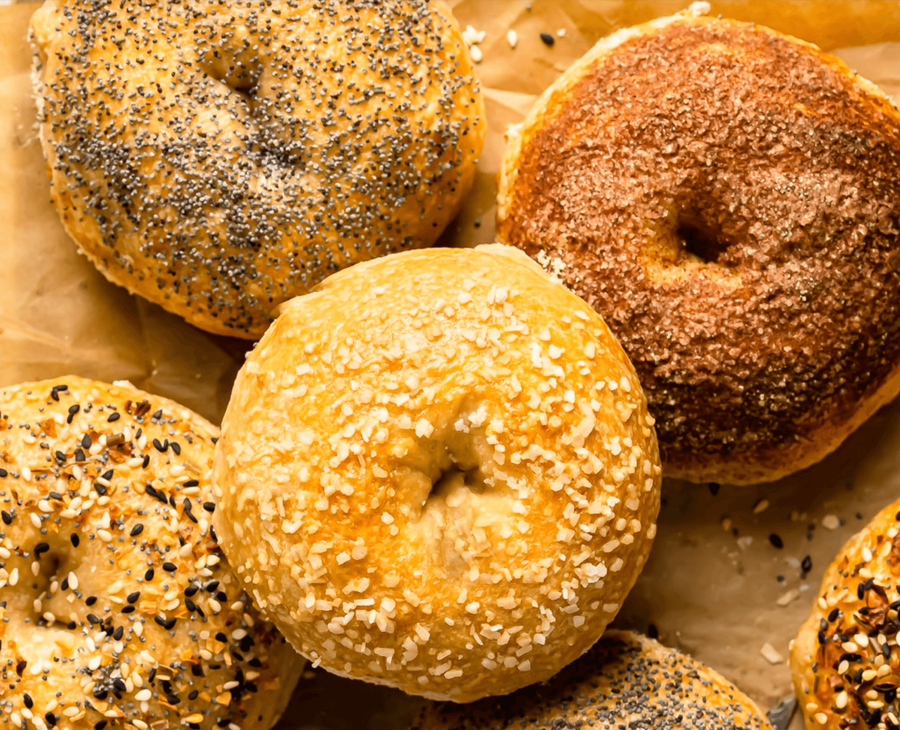Freshly baked New York bagels on a tray