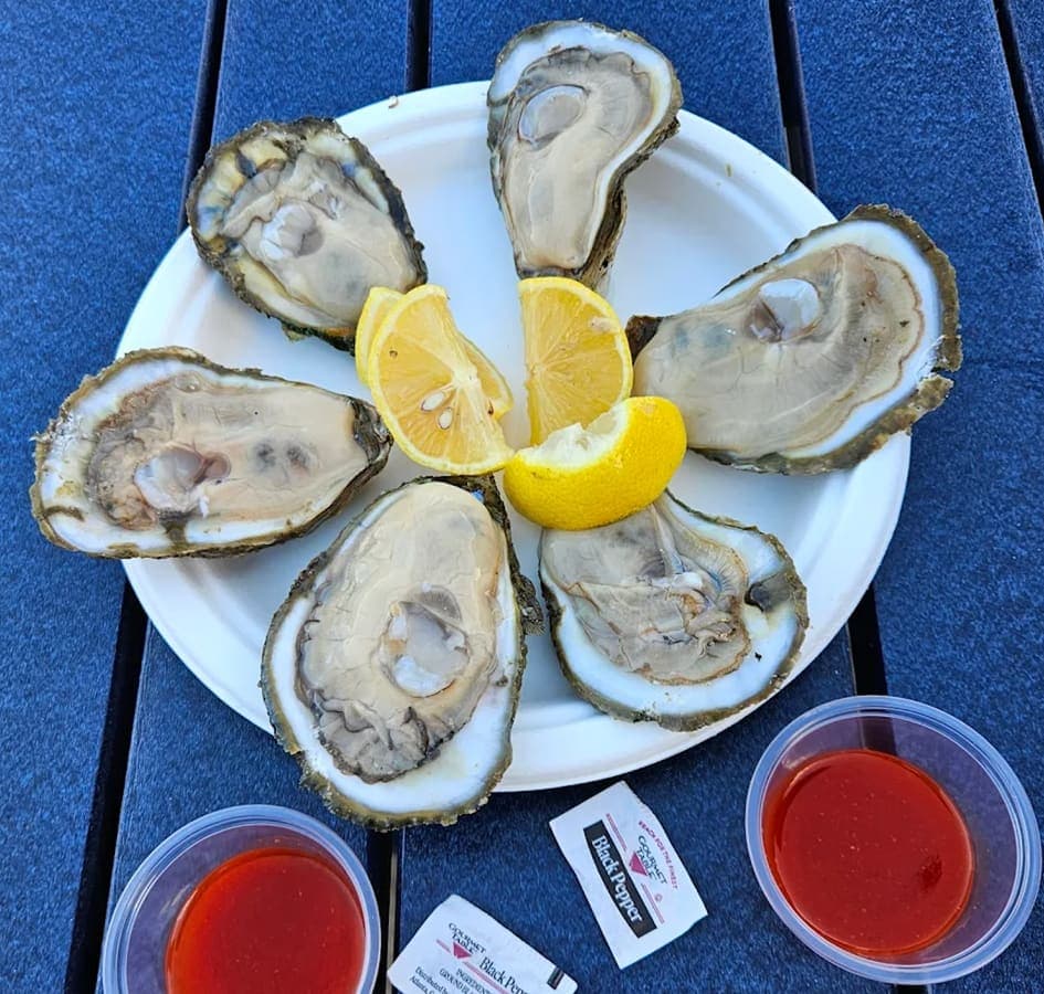 Fresh oysters served on ice in Washington, D.C.