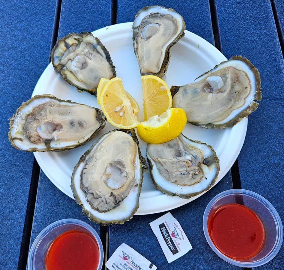 Fresh oysters served on ice in Washington, D.C.