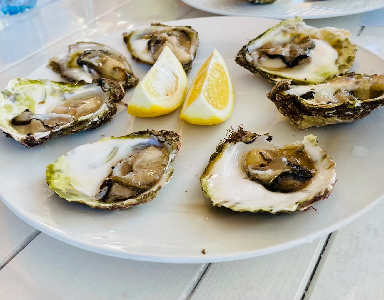 Fresh oysters served with lemon wedges in Kotor